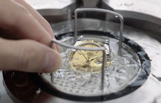 帝舵男表鄂鱼皮表带是什么型号的