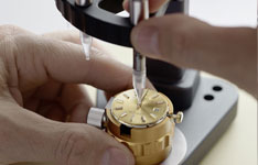 帝舵戴着会停放下会走